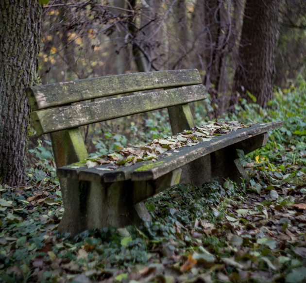 bench